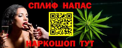 стаф Берёзовский