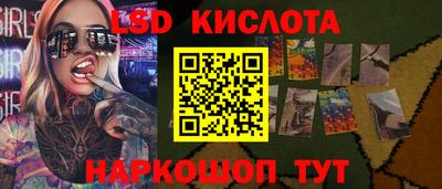 скорость Бийск