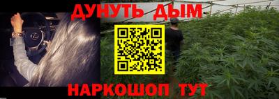 скорость Бийск