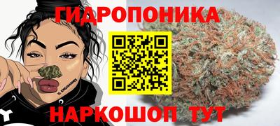 скорость Бийск